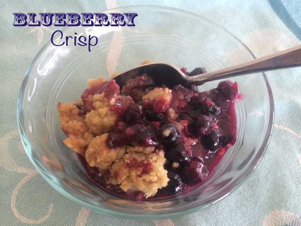 blueberry crisp updated