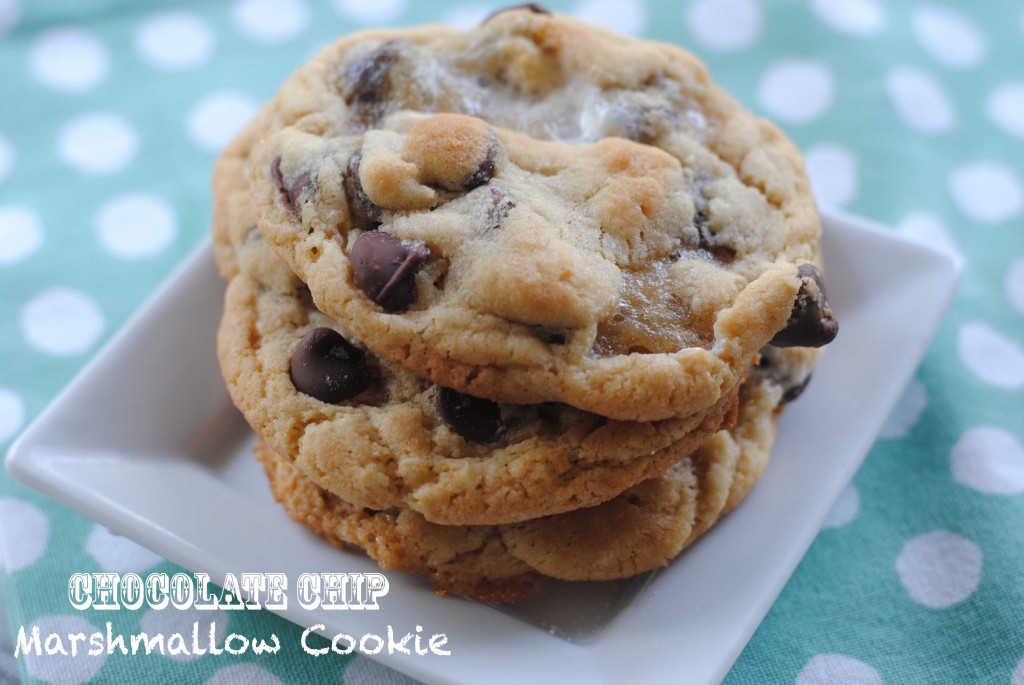 chocolate chip marsmallow cookie