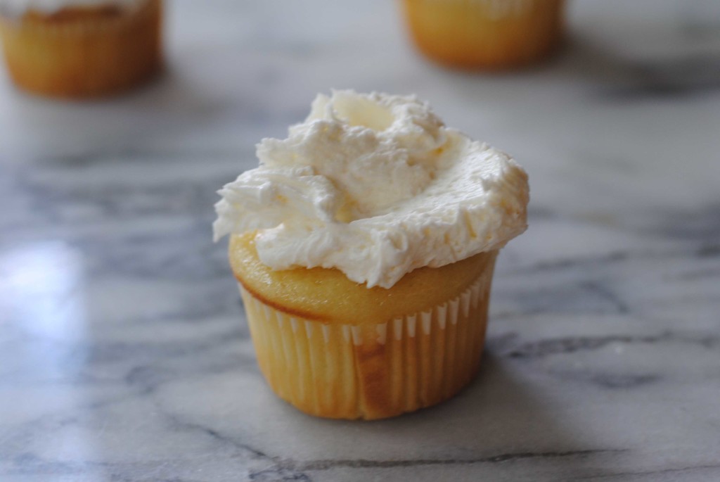 iced cupcake