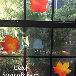 Leaf Sun Catchers